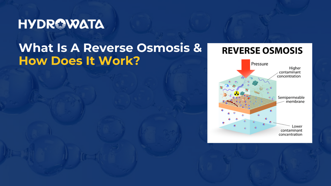 hydrowata-what-is-reverse-osmosis-and-how-does-ro-work-1